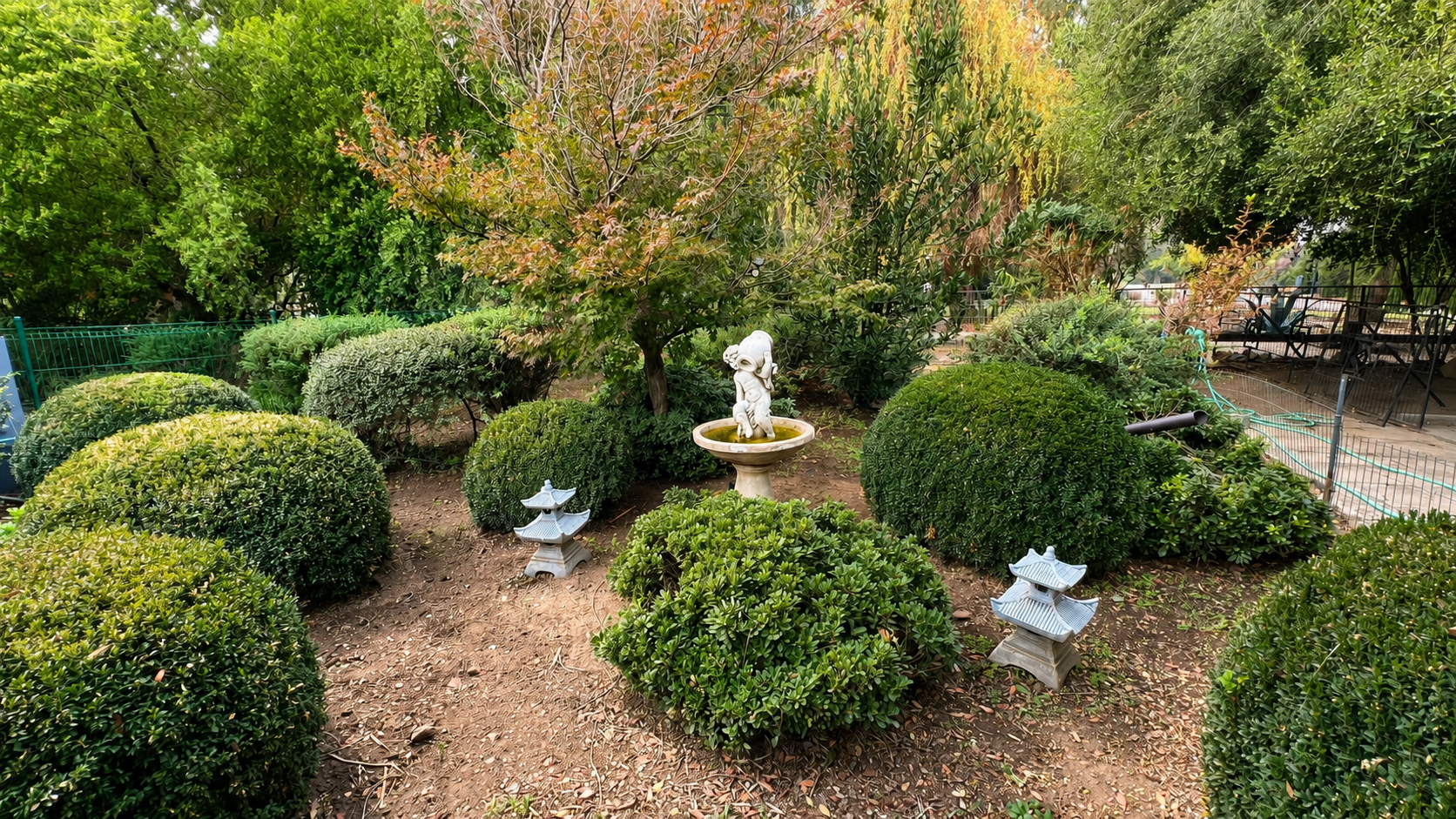 26 jardin japones